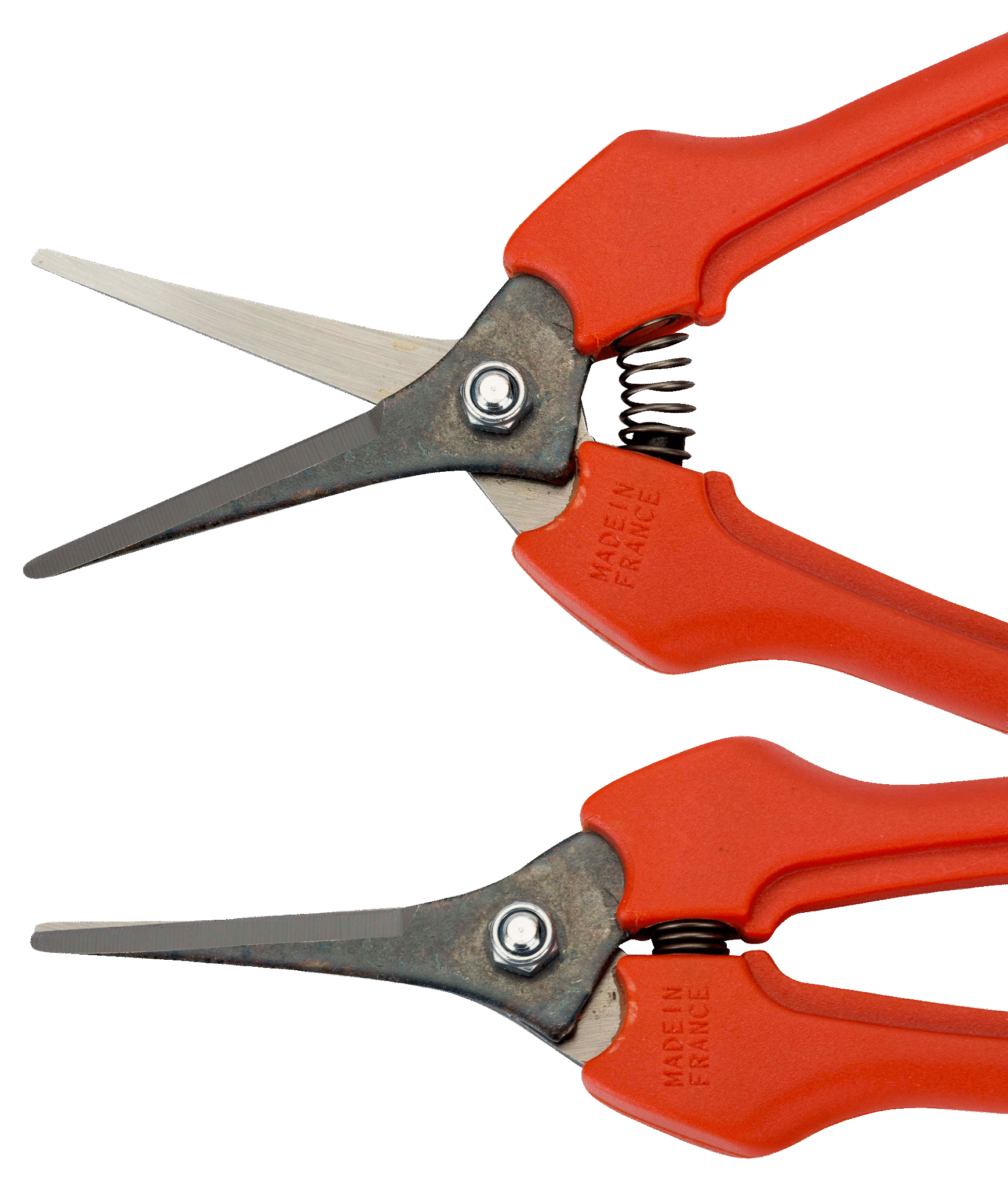 TIJERA DE COSECHA PTA LARGA